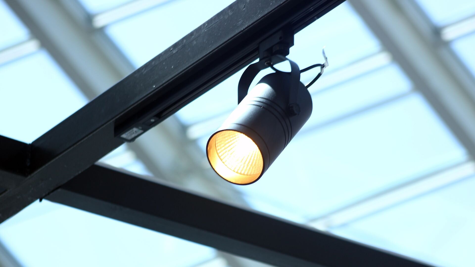 2024 04 Light In Workplace Light Workplace