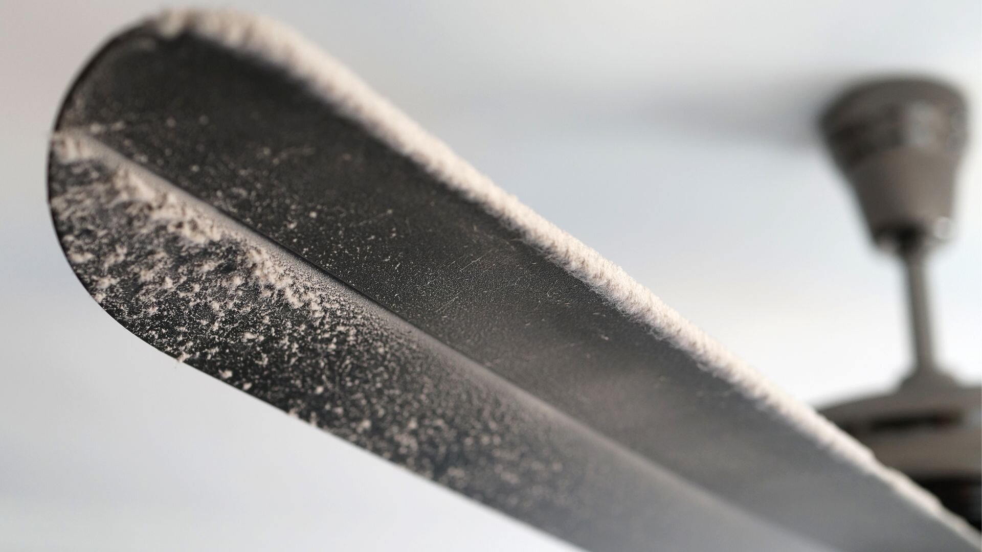2025 02 Dirty Fan Blade Dirty Fan Blade