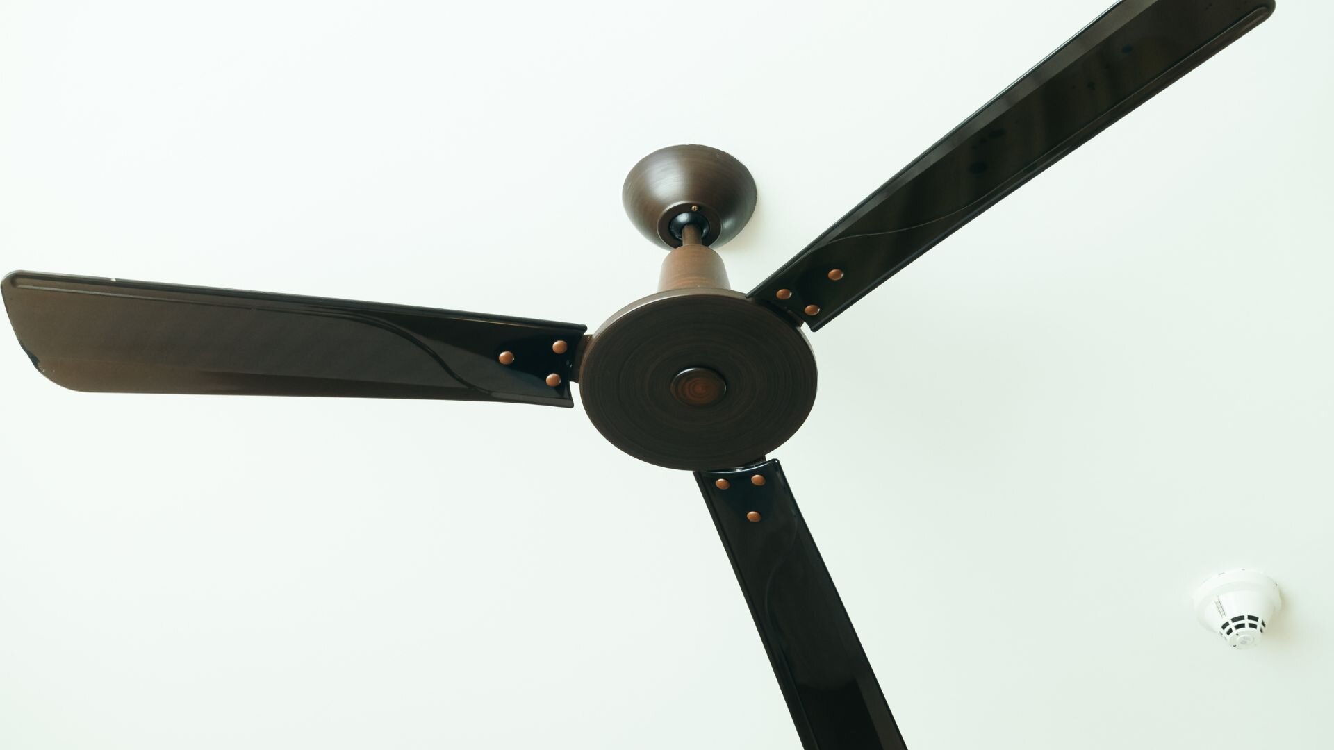 2025 03 Black Wobbling Ceiling Fan Black Wobbling Ceiling Fan