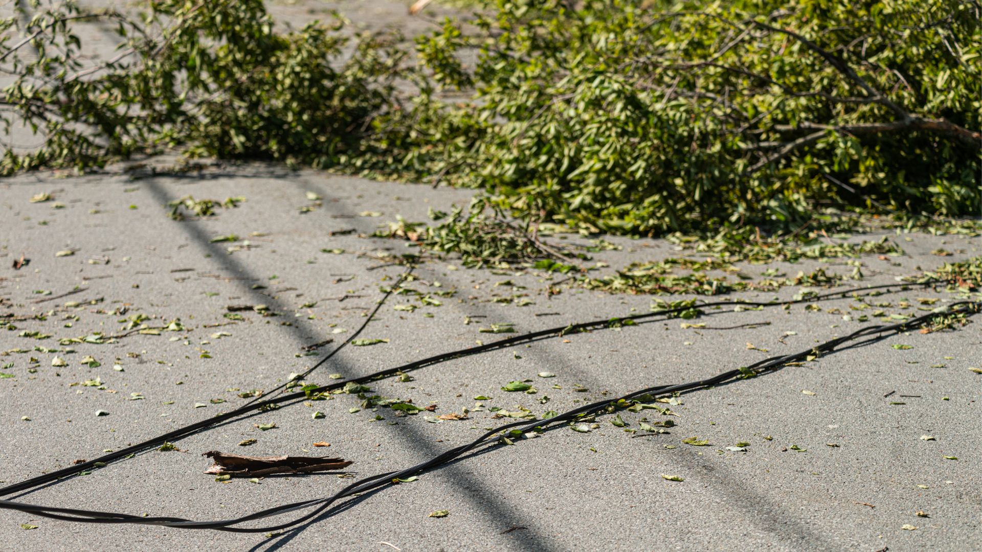 Broken Power Line Consumer Mains Broken Power Line Consumer Mains