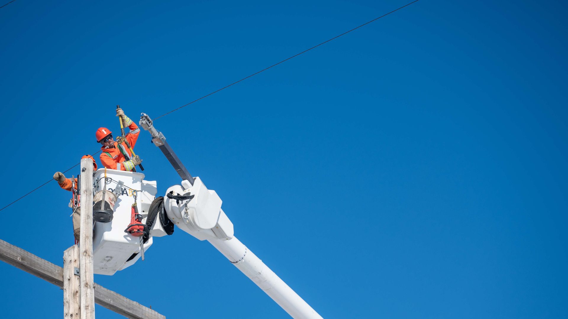 Maintaining Power Pole Professional