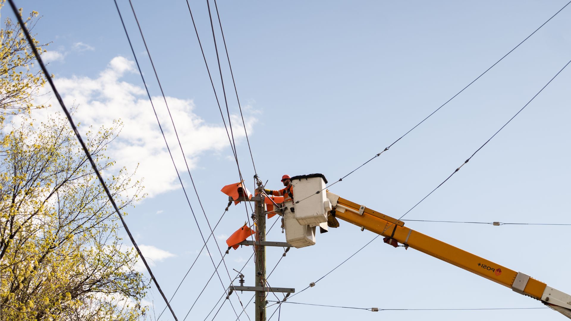 Electrical Lines Load Professionals
