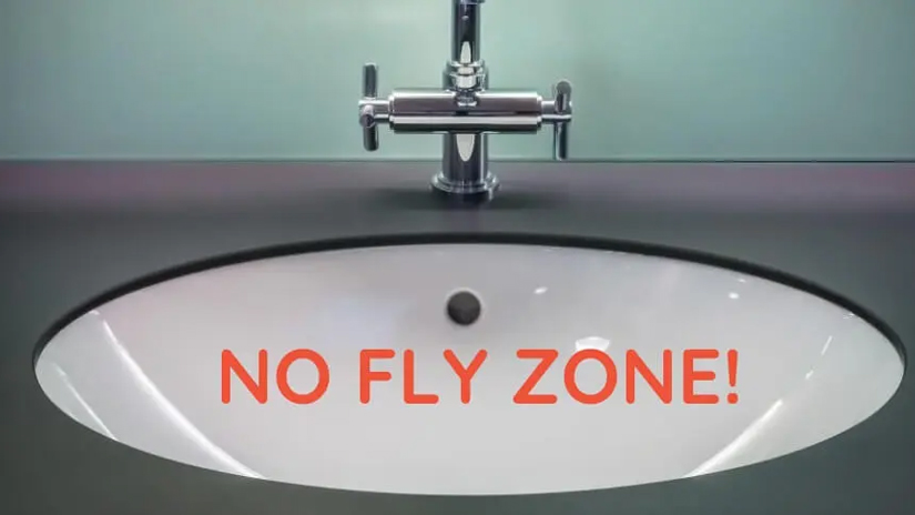 How to Get Rid of Drain Fly - Canberra Plumbing and Drains
