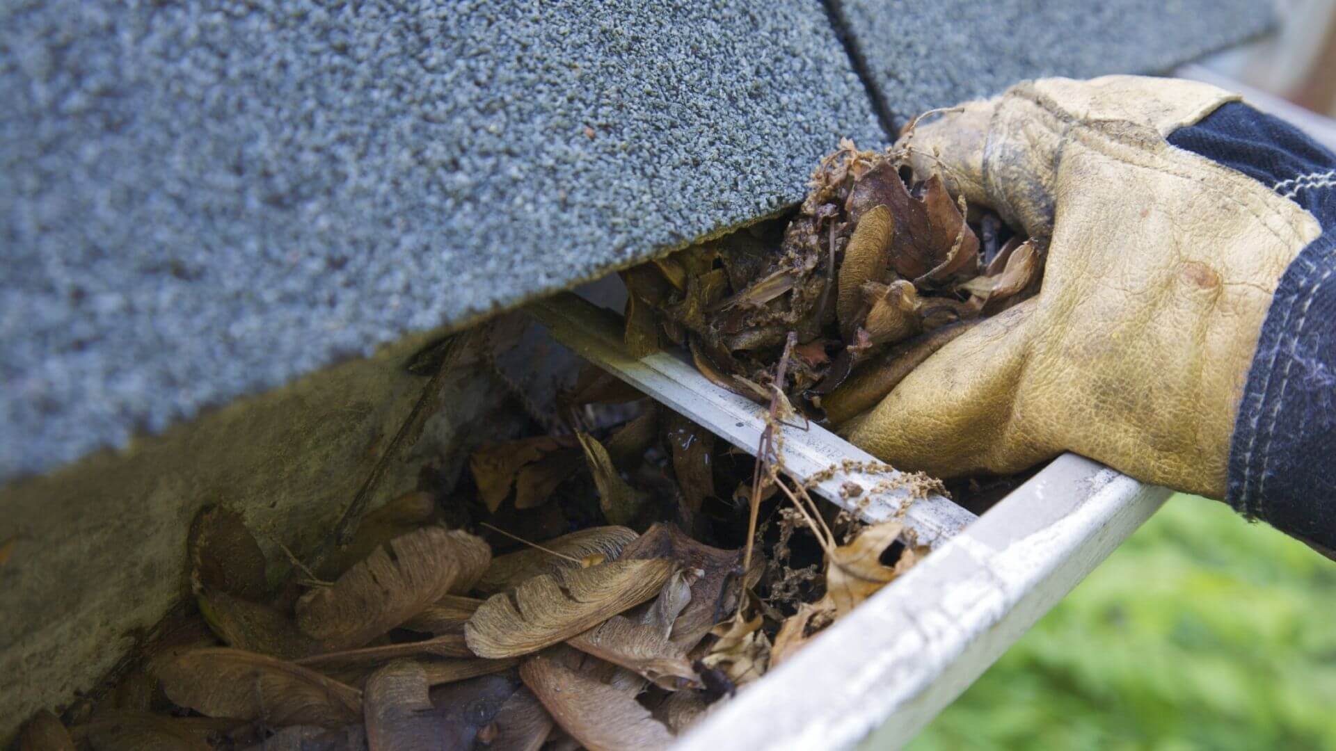 Benefits Of Regular Gutter Cleaning ? Fixed Today Plumbing