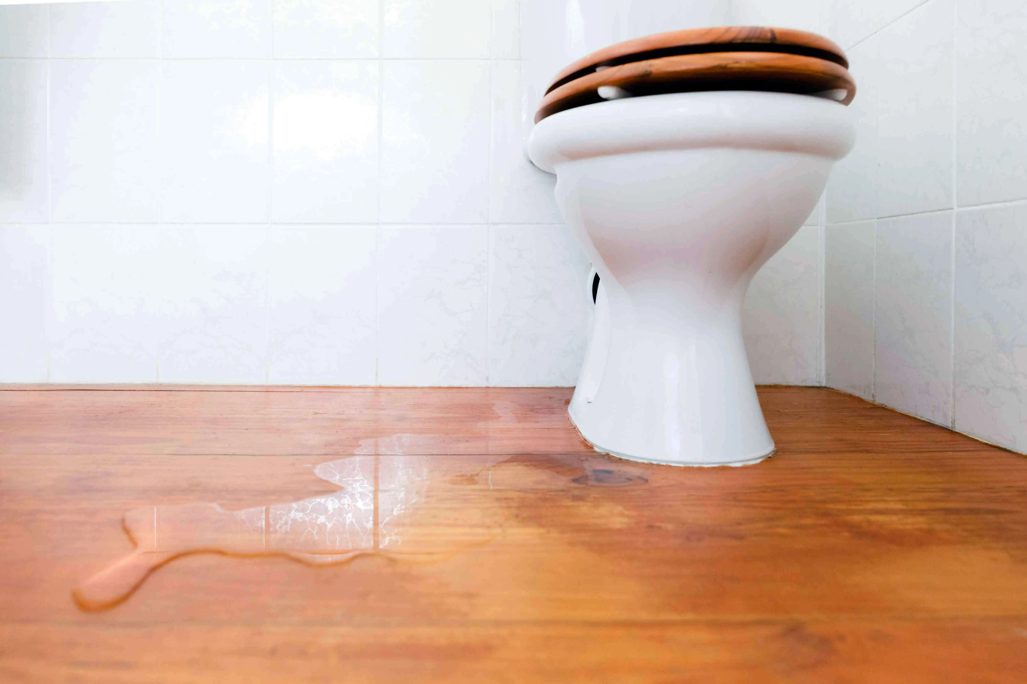 toilet-leaking-at-bottom-where-base-meets-floor-what-to-check-how