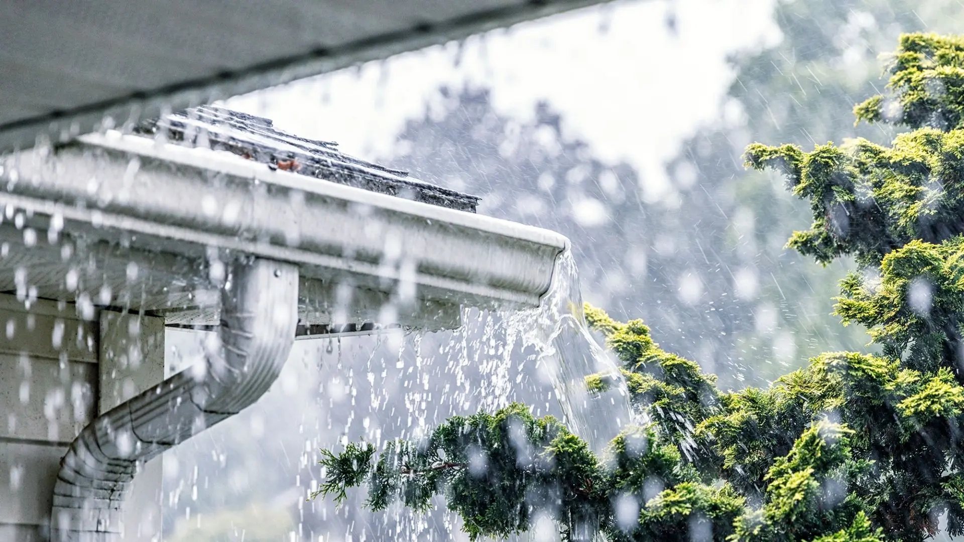 How Heavy Rain Can Affect Your Plumbing ? Fixed Today Plumbing