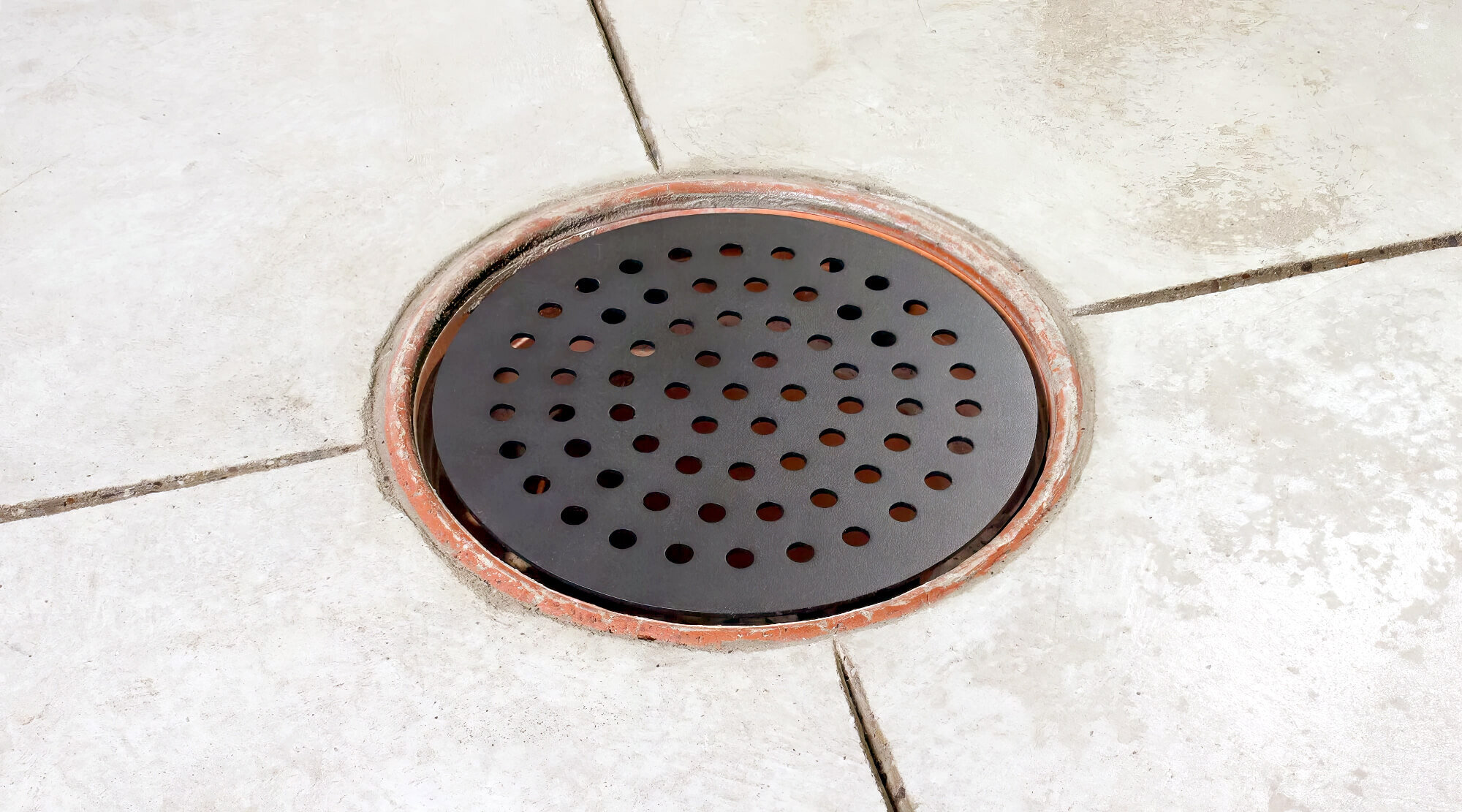 https://zeve.au/fixedtoday/uploads/2022/12/installed-drain-guard.jpg