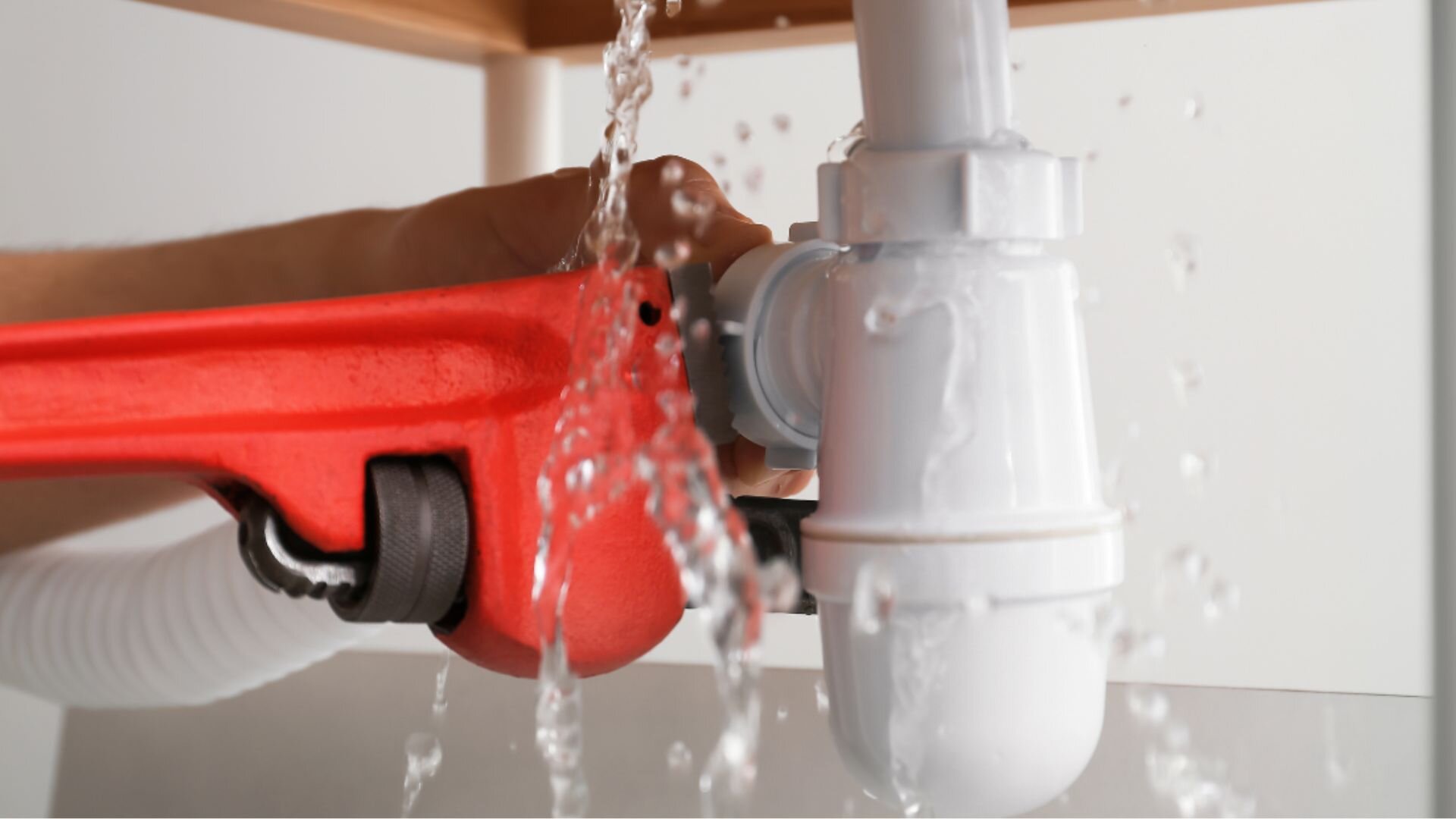 Essential Plumbing Tips for New Homeowners