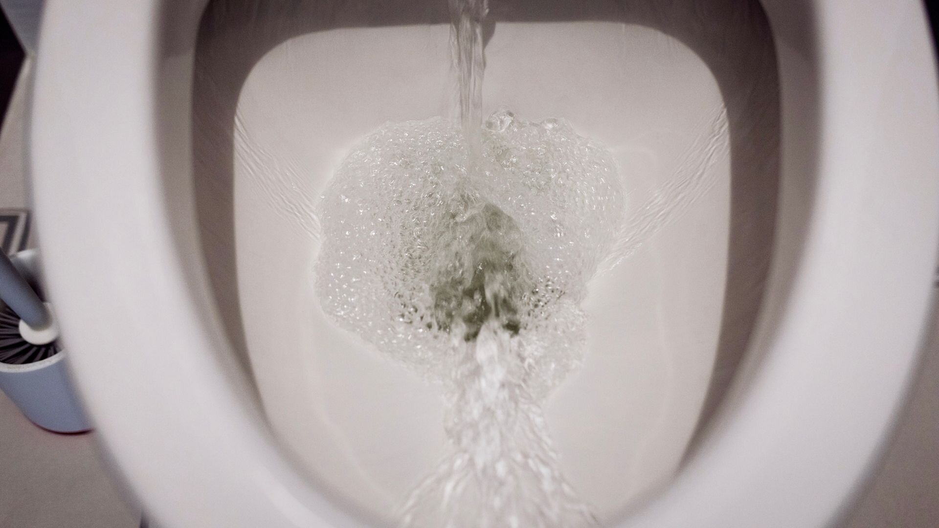 Flushing Toilet Toilet Brush