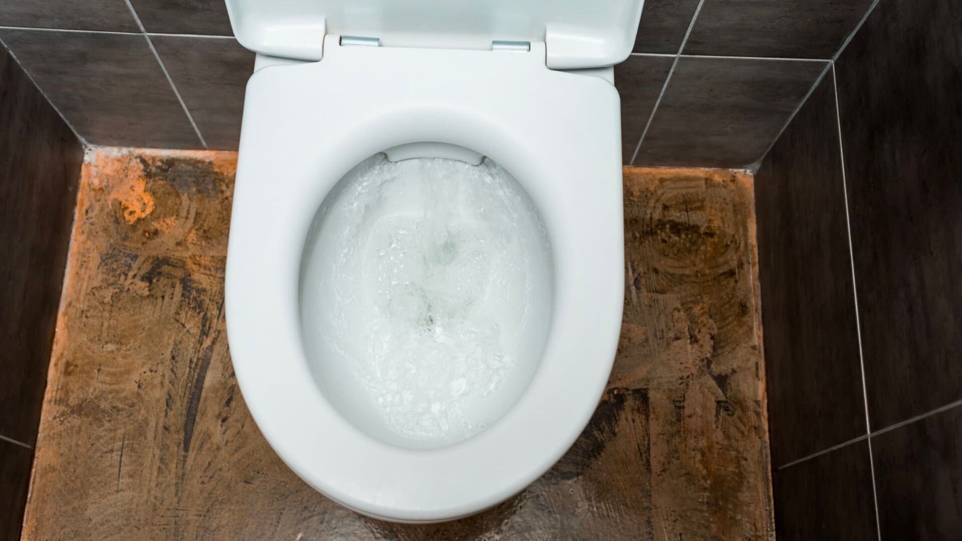 Toilet Brown Wall Bronze Floor