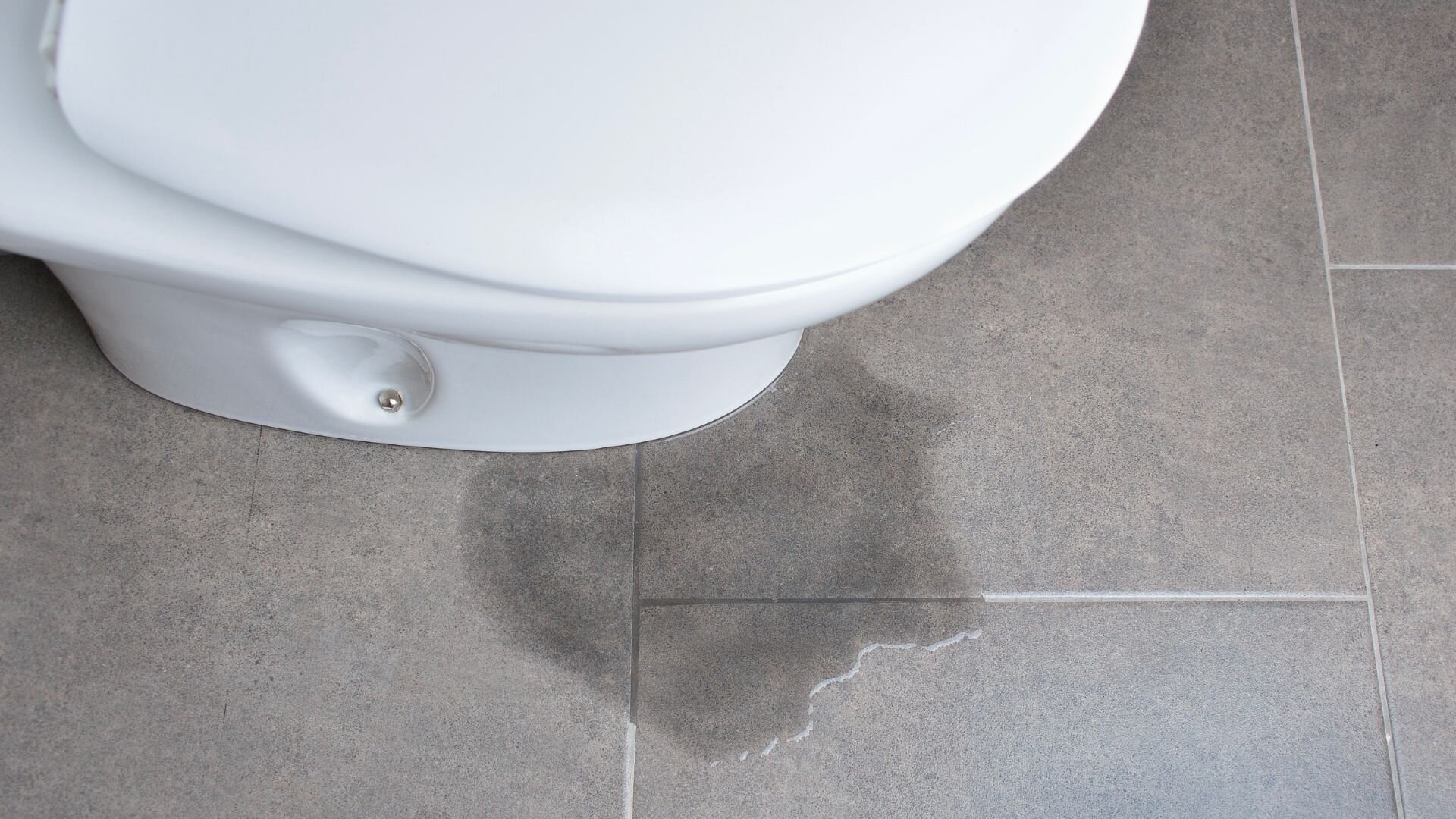 Water Leak Bottom Toilet