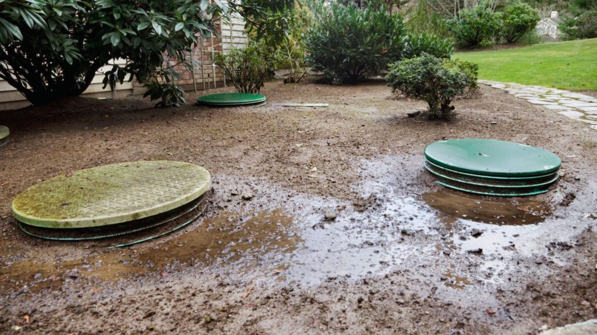 Overflowed Septic Tank Issue