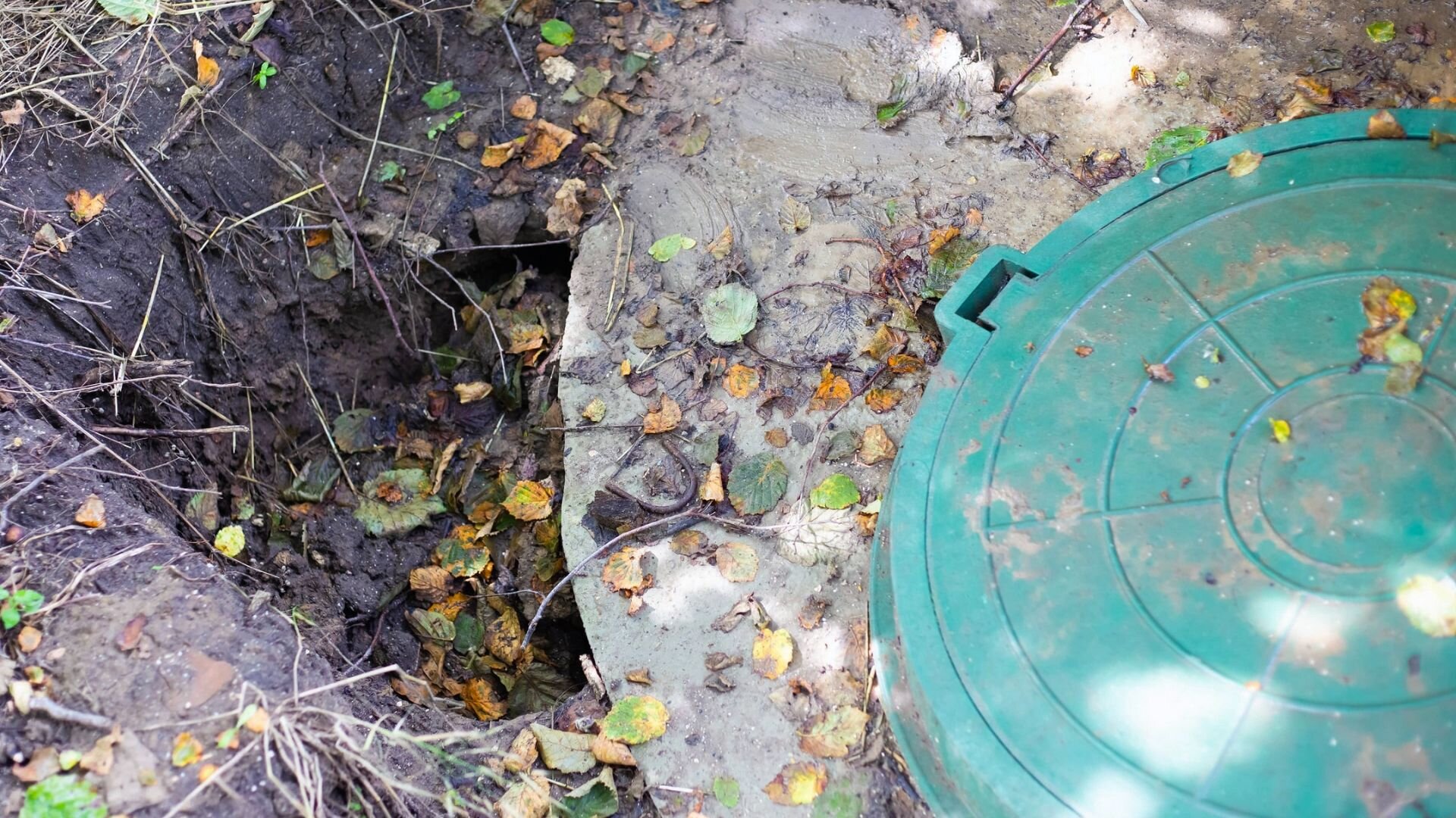 Roots Septic Tank
