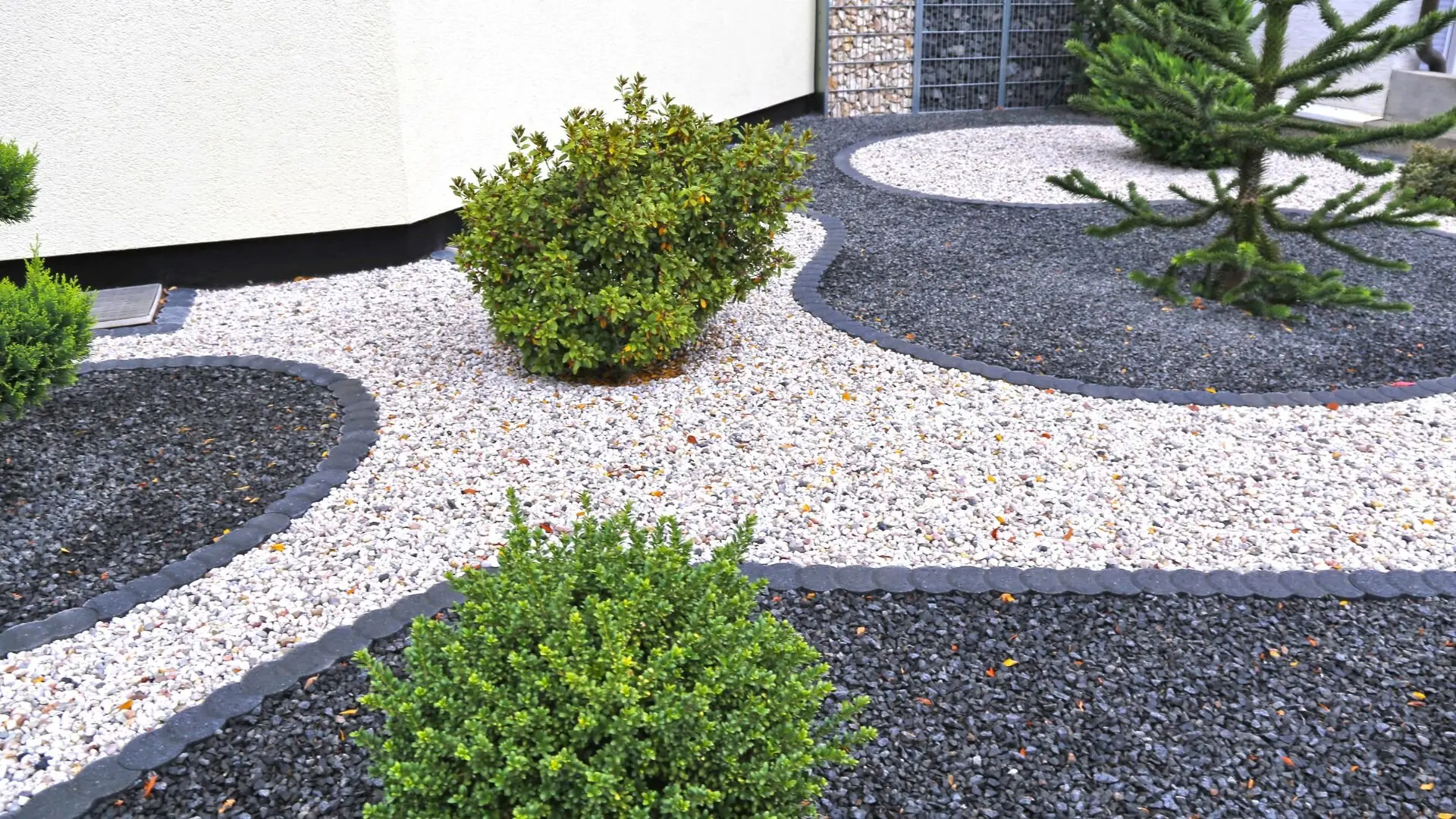 Gravel Garden Plants