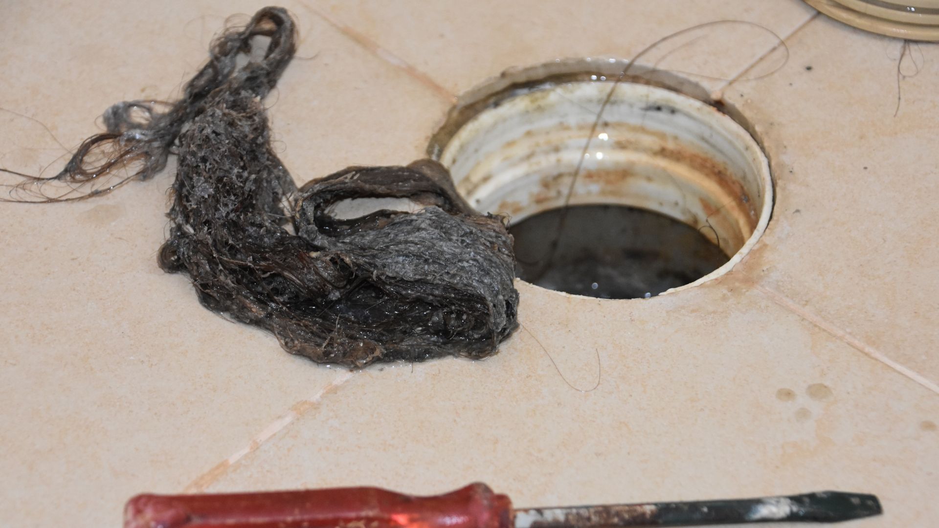 Large Hair Clog Shower Drain