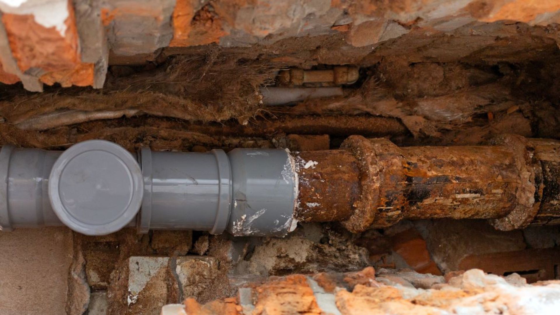 Rusty Piping