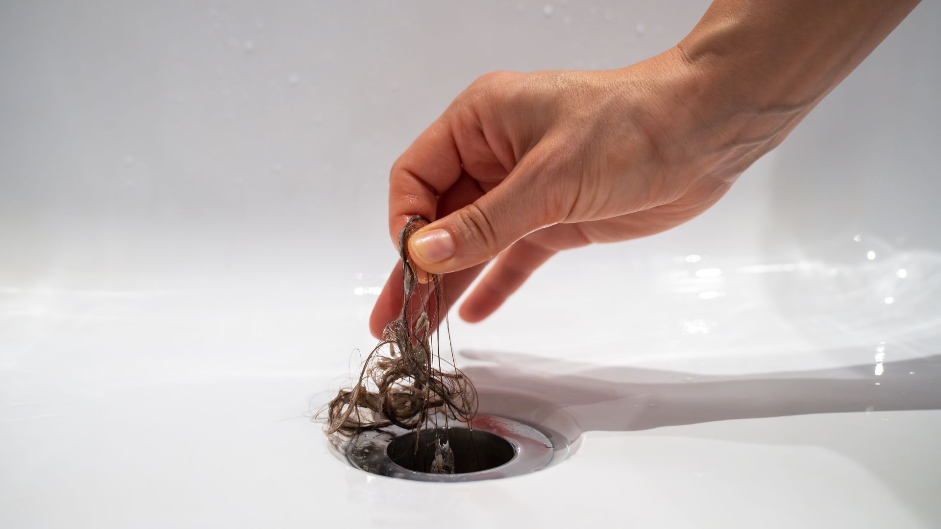 Blocked Drains Attracting Pests