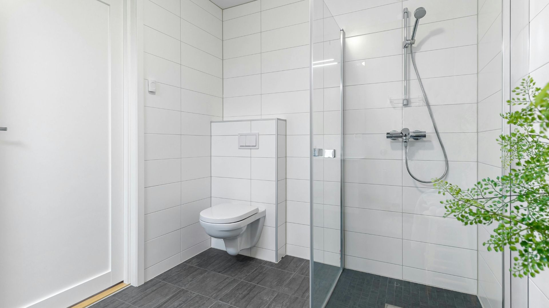 Wall Hung Toilet Shower