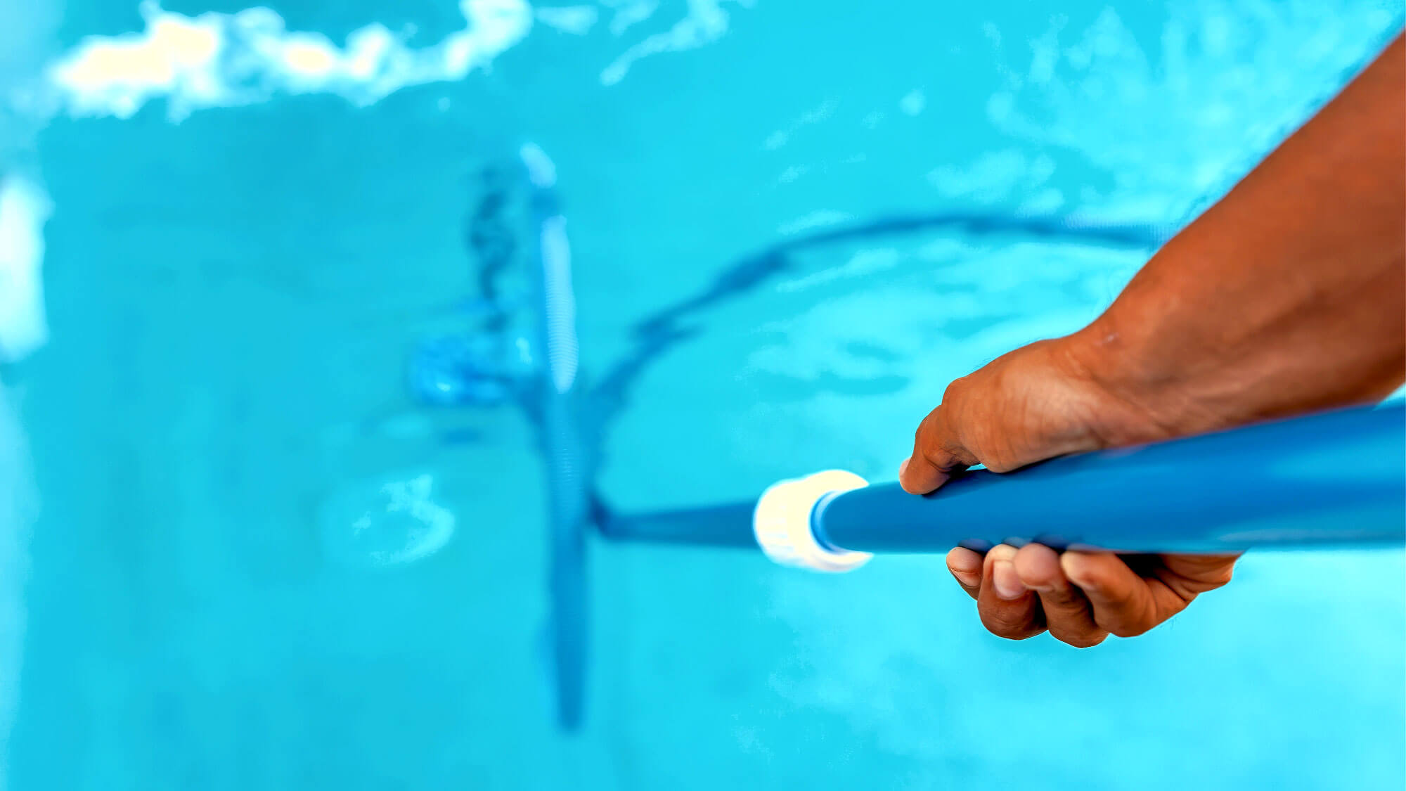 2024 12 Cleaning Dedbris From Pool Cleaning Dedbris Pool