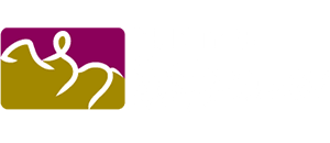 Pony Riding for the Disabled Association