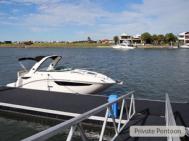 Photo 19 of Mater draw 262