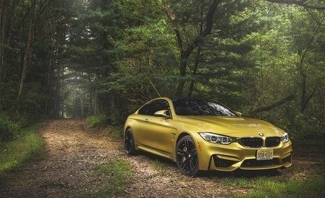 MSWA Lottery Prize Car 20042016