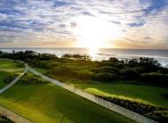 Photo 13 of Surf Life Saving draw 172