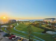 Photo 14 of Surf Life Saving draw 172