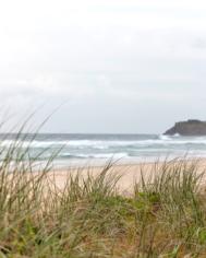 Photo 2 of Surf Life Saving draw 193