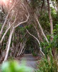 Photo 3 of Surf Life Saving