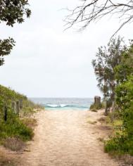 Photo 4 of Surf Life Saving draw 193