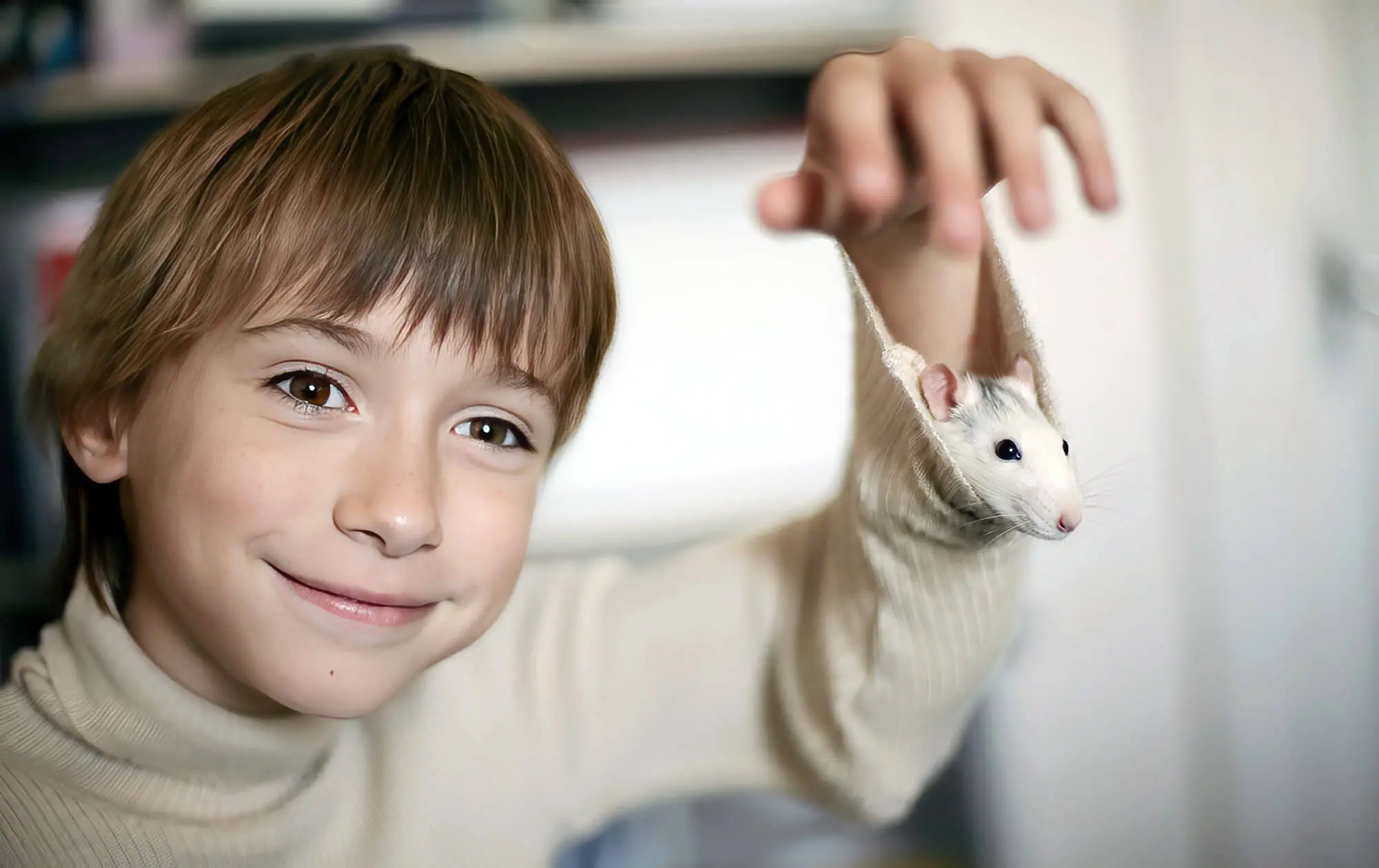 The 10 Best Things About Pet Rats - Planet Pet