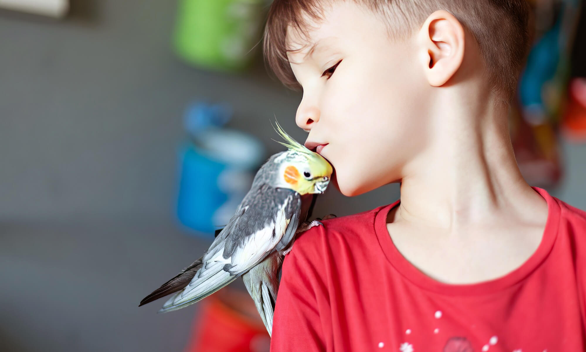 Boy Playing With Pet Bird