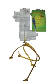 Creative 3 Drawers Foraging Bird Toy