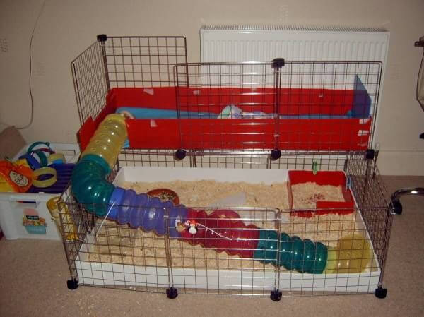 Candc Guinea Pig Cages