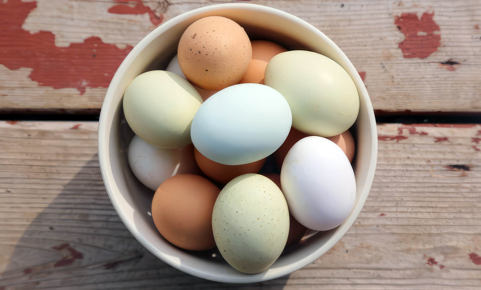 Chicken Eggs Sitting In Bowl Chicken Eggs Sitting In Bowl