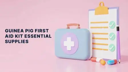 Guinea Pig First Aid Kit Essential Supplies