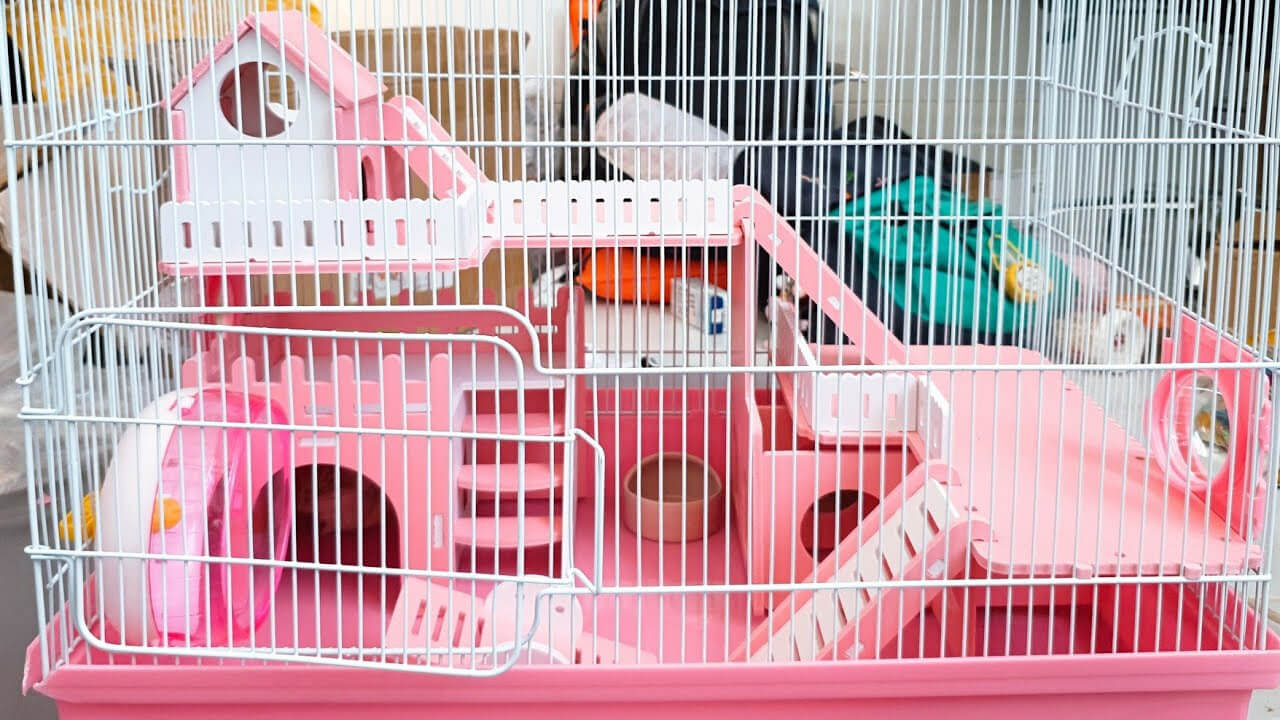 Hampster Cages