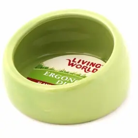 Ceramic Ergonomic Pet Dish