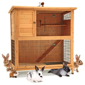 Premium Two Storey Hutch