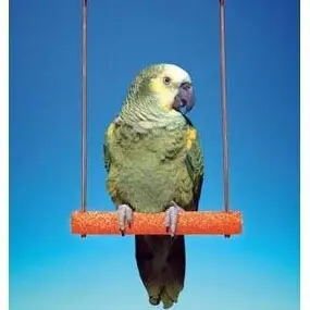 Cement Bird Swing with Wire Frame 9