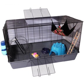 Mice & Rat Cages: Secure & Comfortable Homes for Rodents - Planet