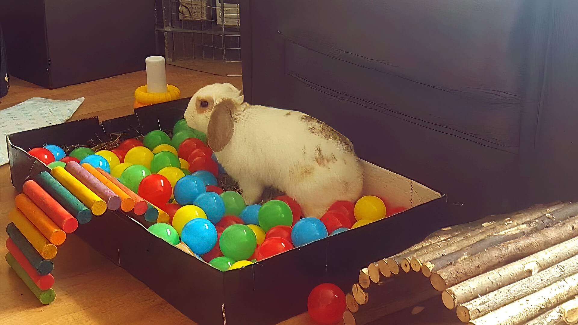 Rabbit Toys And Their Benefits