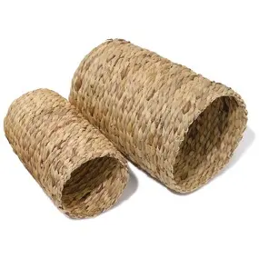 Rosewood Hyacinth Tunnel