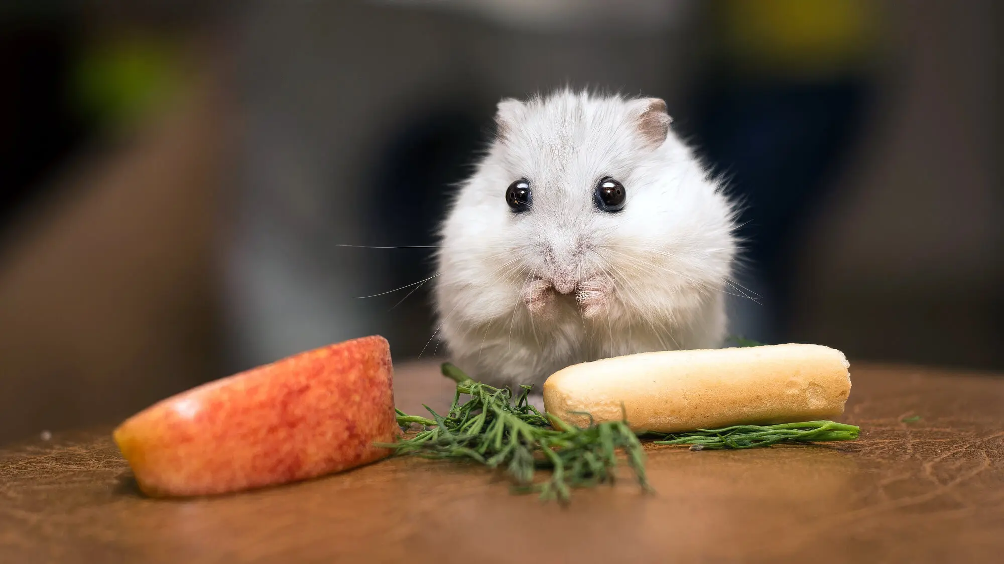 Small Rat Eat Vegetables
