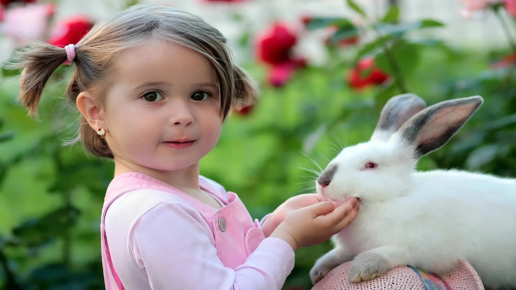 Young Girl Petting Bunny
