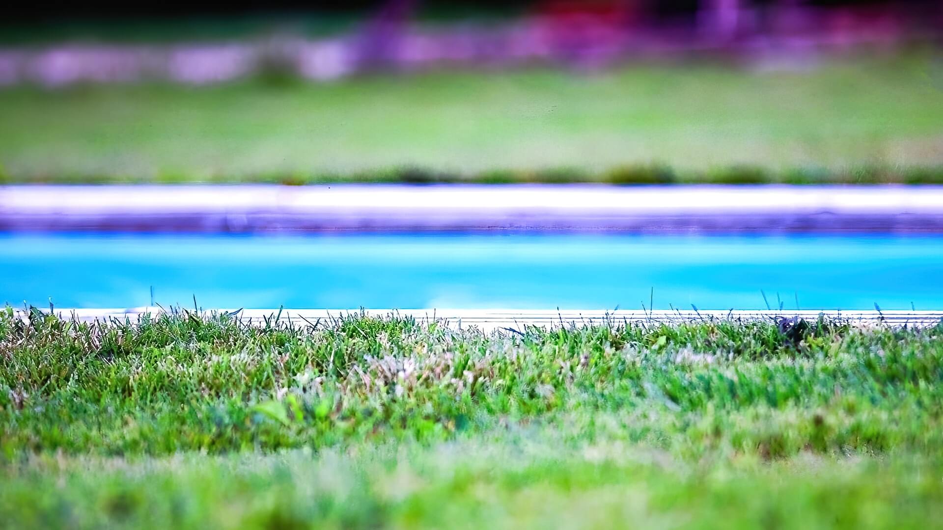Can Pool Water Kill Your Plants Or Lawn? — Detailed Guide ‐ The Pool Co
