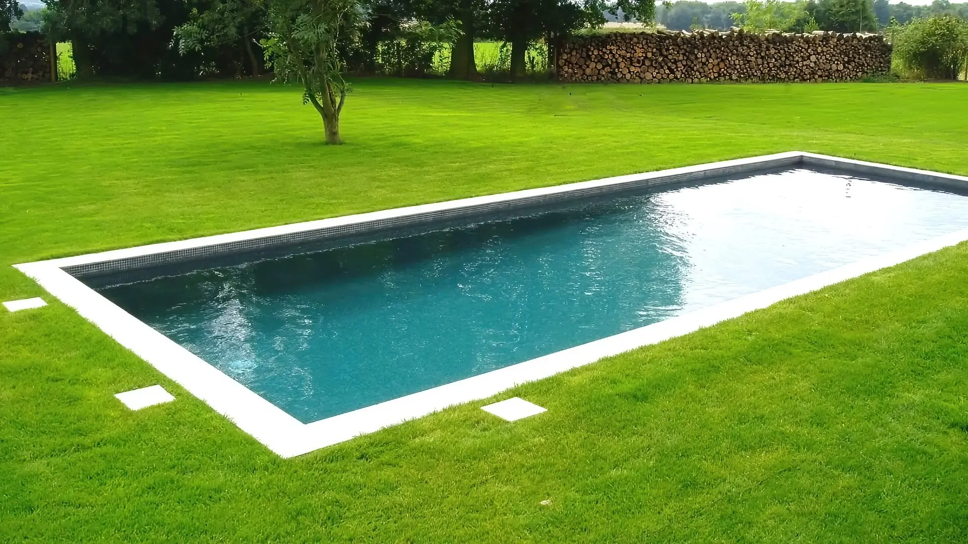 Can Pool Water Kill Your Plants Or Lawn? — Detailed Guide ‐ The Pool Co