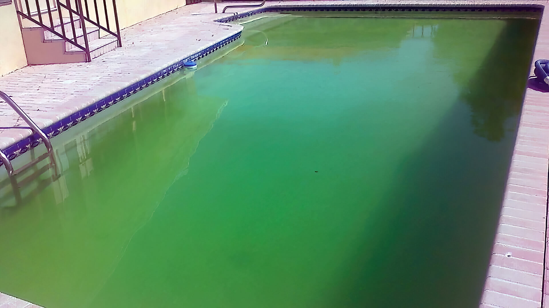 Why Is My Pool Green? — Fix Your Green Pool With This Guide! ‐ The