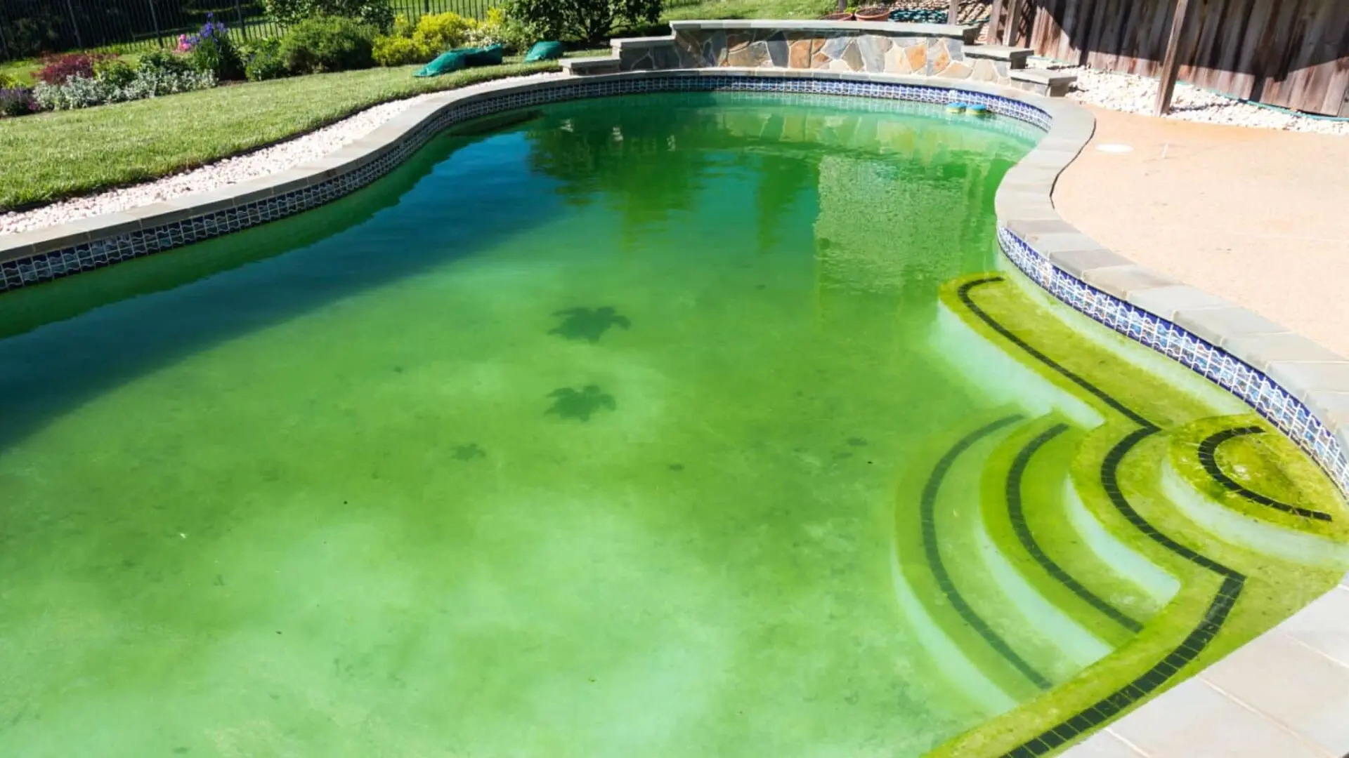 how-to-remove-sand-from-your-swimming-pool-easy-guide-video-the